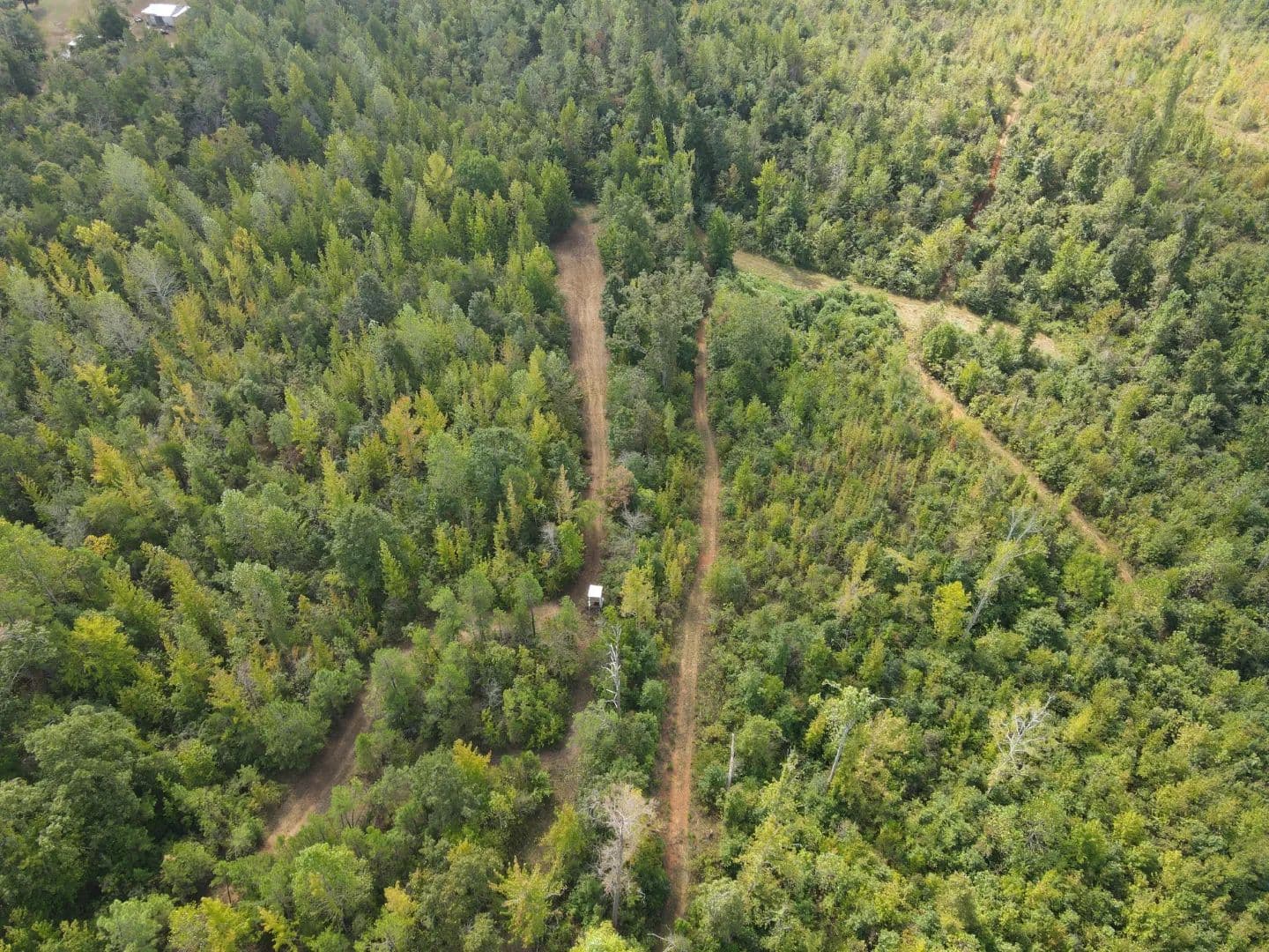 105.6 Acres with a Home in Tippah County, MS  - Ripley, Mississippi, 38663