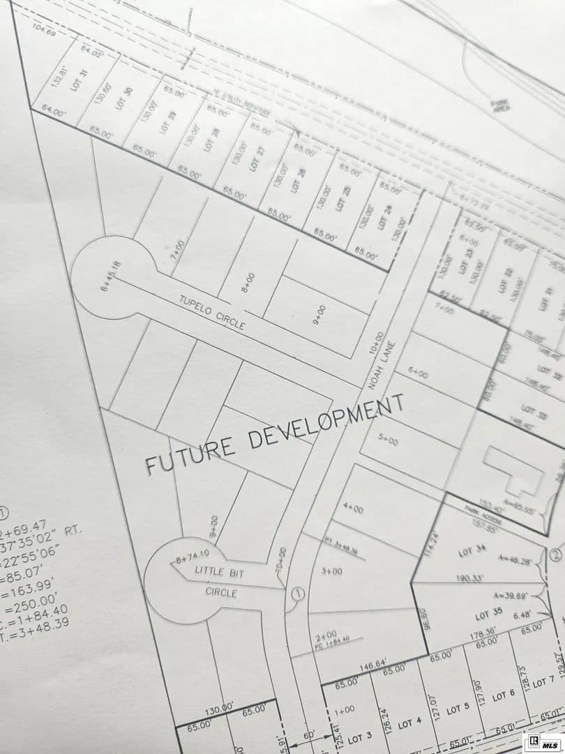 Vacant Land in Rayville - Rayville, Louisiana, 71269