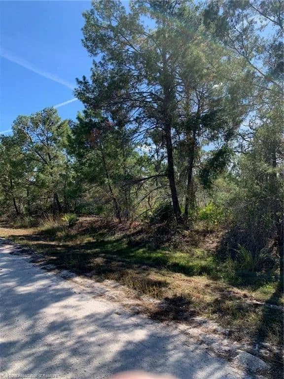 Vacant Land in Sebring - Sebring, Florida, 33852