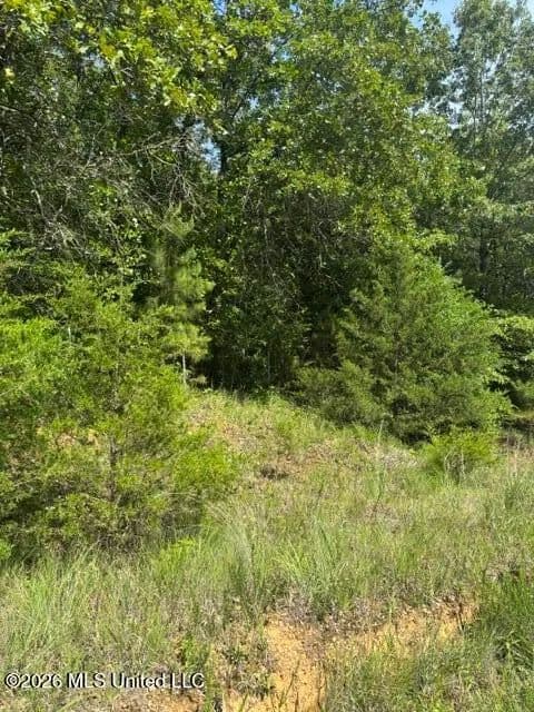 Property from 139 David Cove - KW - Byhalia, Mississippi, 38611
