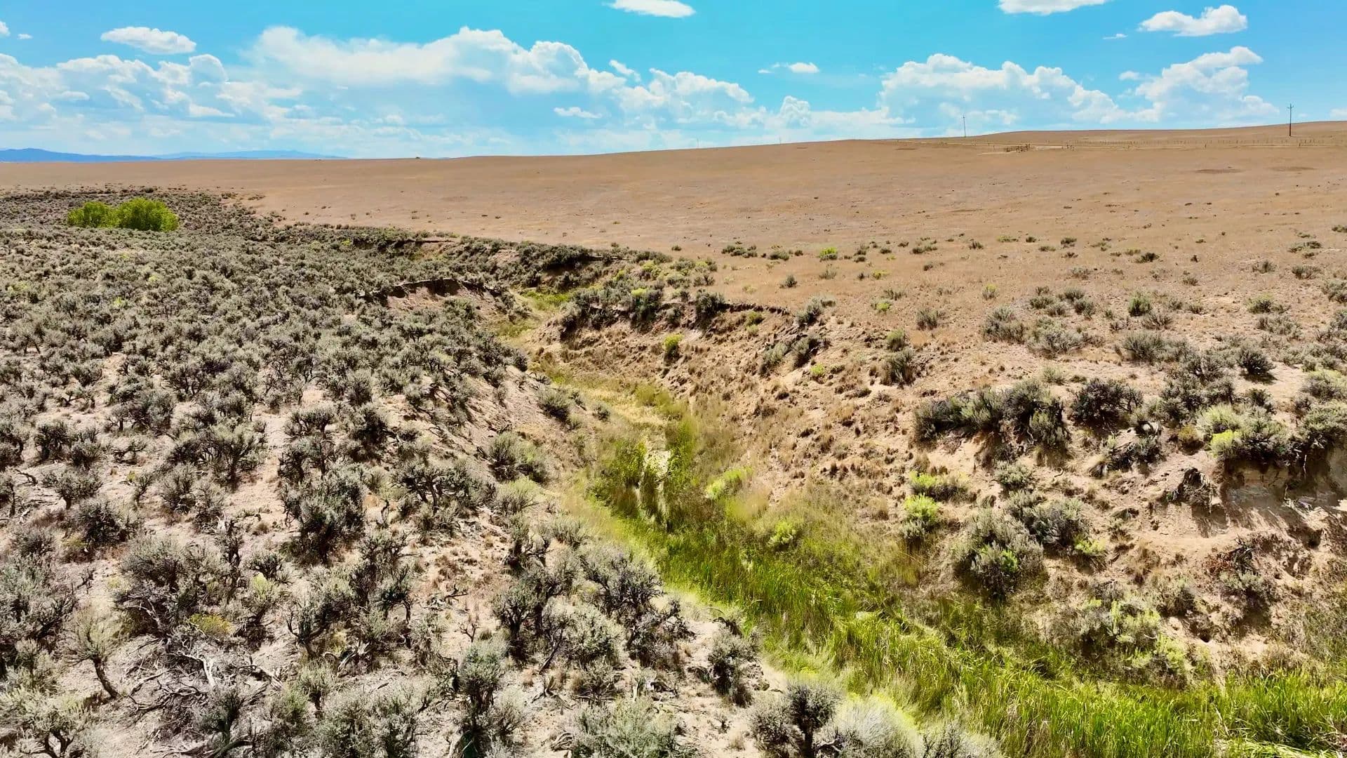 Ida Ranch - Craig, Colorado, 81625