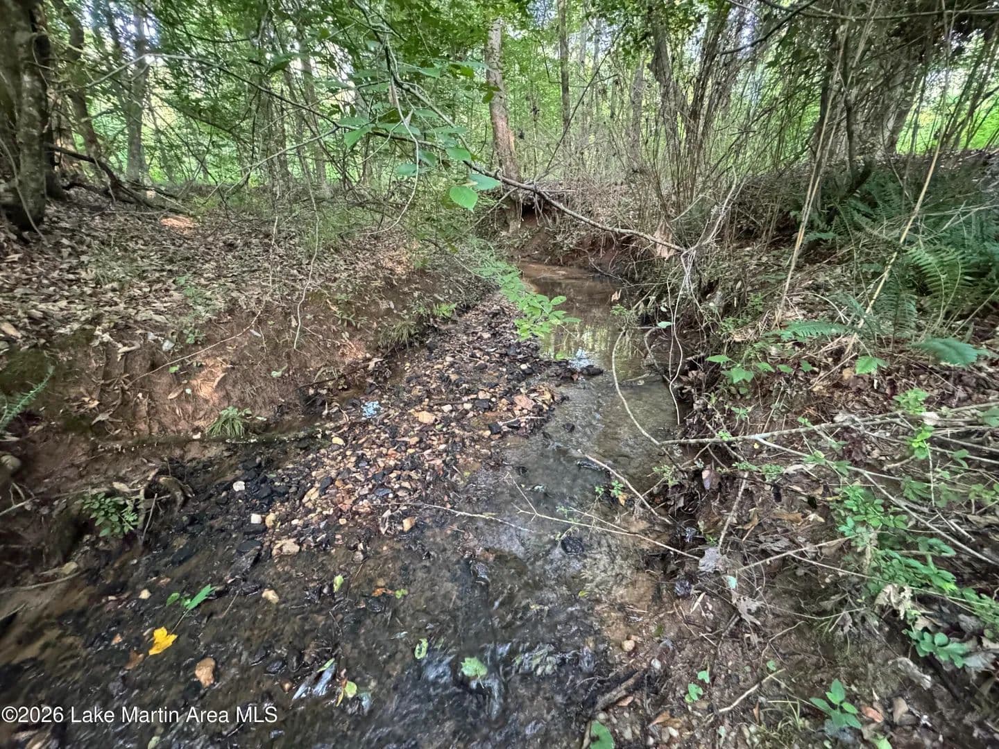 Property from Unknown Address - KW - Camp Hill, Alabama, 36850