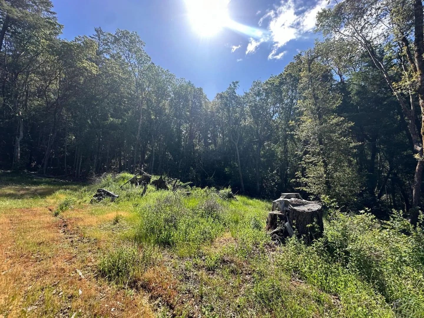 Vacant Land in Leggett - Leggett, California, 95585