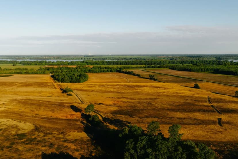 252 Acres in Lake County, TN 