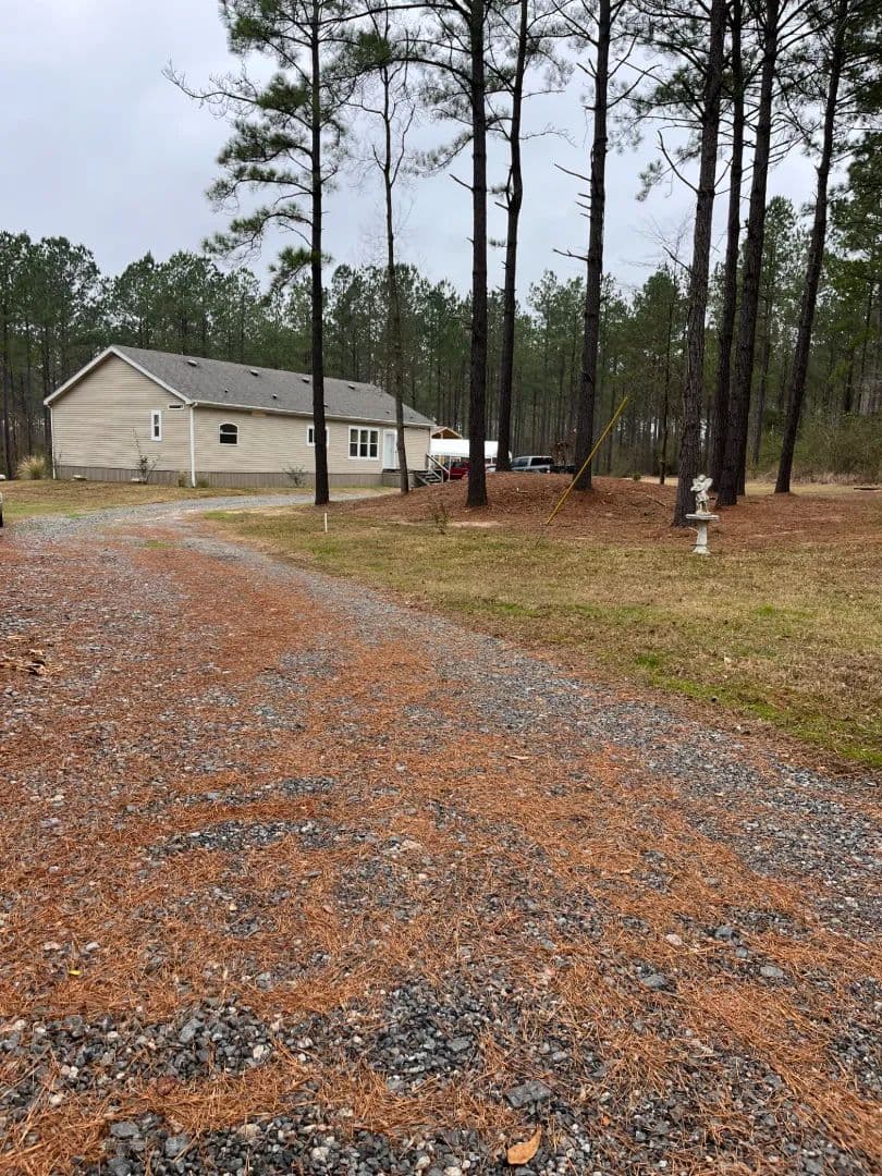 32 Acres with a Home in Union Parish, LA 