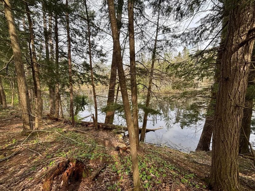 Lots & Land-Other in Gaylord