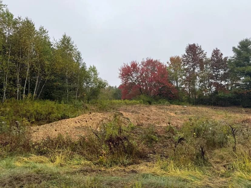 Land -Single Family Acreage in Waldoboro