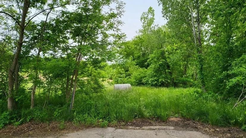 Property from TBD Horseshoe Drive - KW