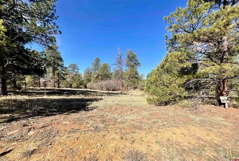 Vacant Land in Ridgway