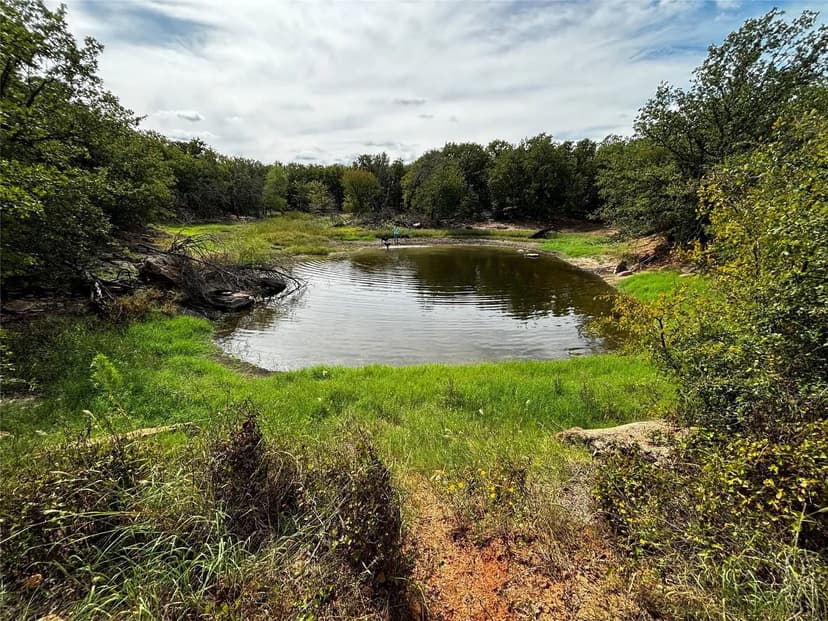 Property from 316 County Road 458 - KW