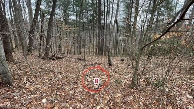 Vacant Land in Stuart - Stuart, Virginia, 24171