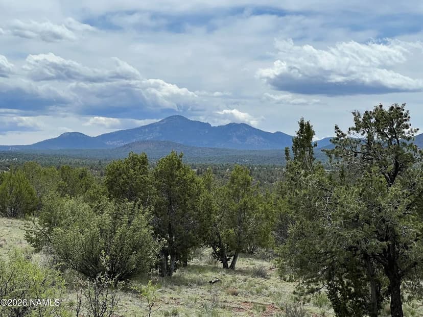Lots & Land-Other in Williams