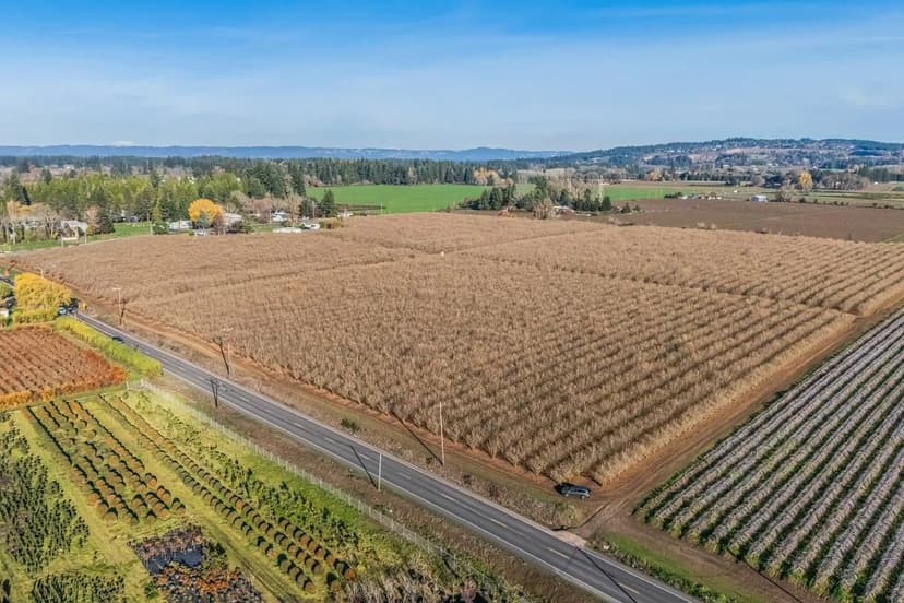 40 Acre Jefferson Hazelnut Orchard