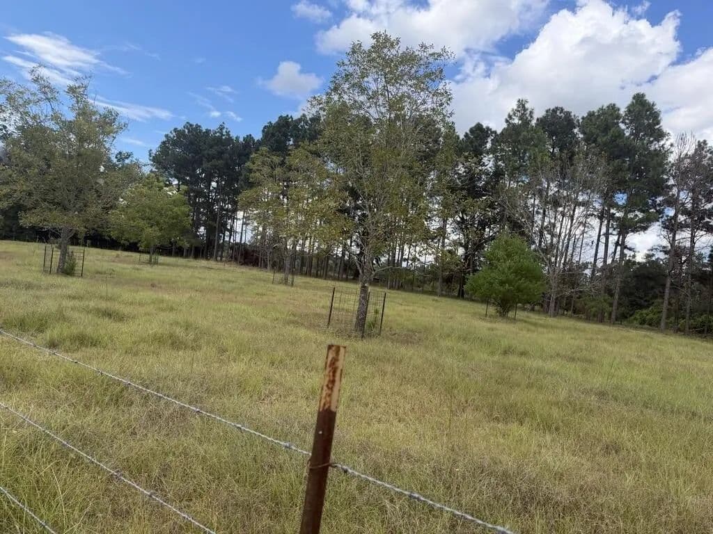 Lots & Land-Other in Colquitt - Colquitt, Georgia, 39837