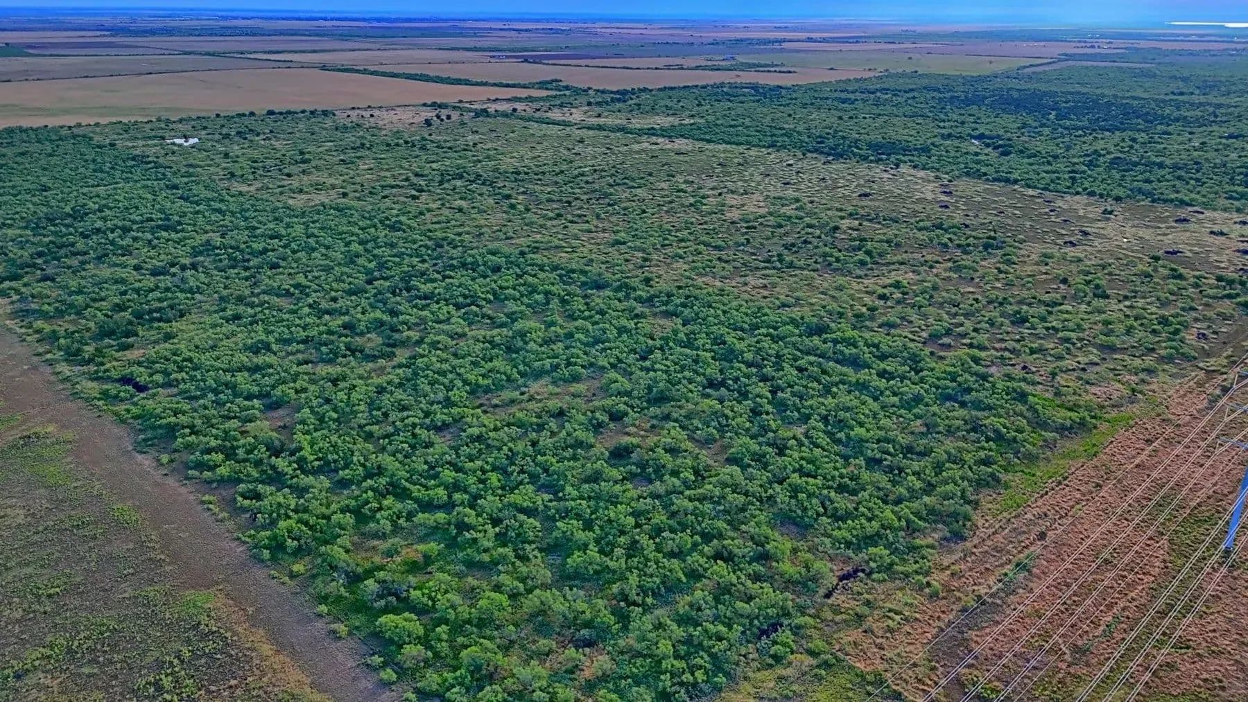 669 acres in Hardeman County - Quanah, Texas, 79252