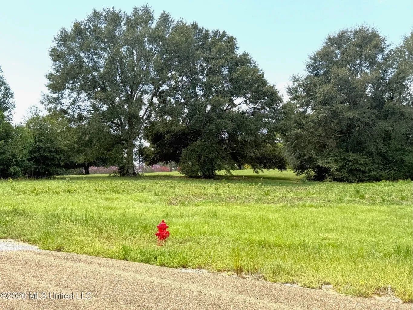 2 Acre Golf Course Lots for Sale Near Fernwood Country Club - Mccomb, Mississippi, 39648