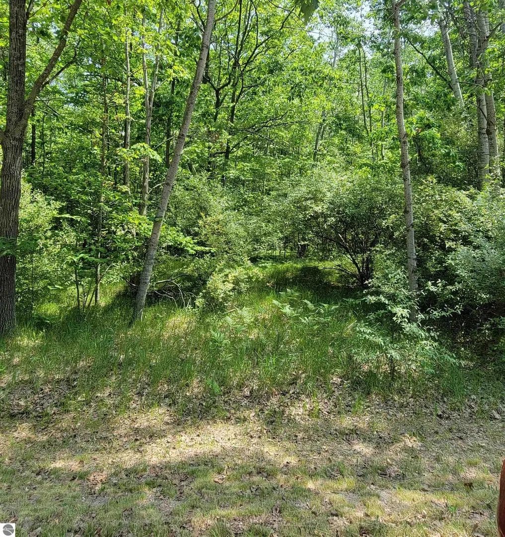 Vacant Land in Lake Isabella - Lake Isabella, Michigan, 48893