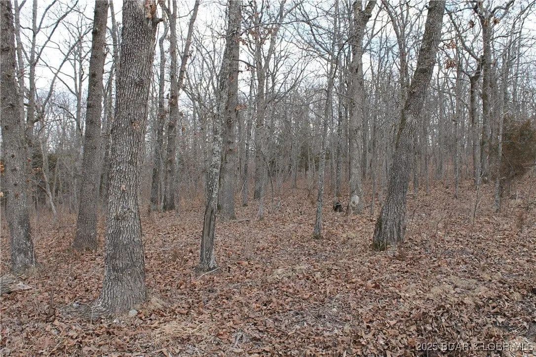 Lots & Land-Other in Edwards - Edwards, Missouri, 65326