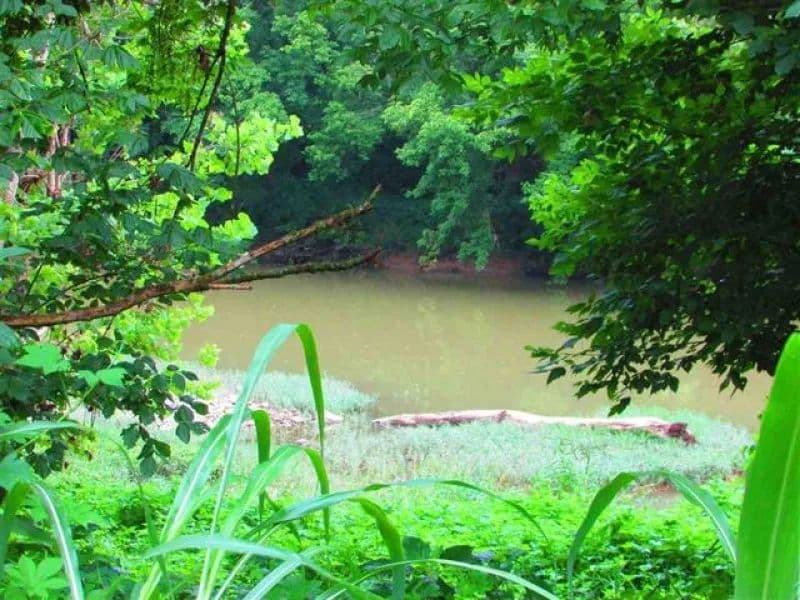 East Tennessee Riverfront Property for Sale Eidson, TN 37731