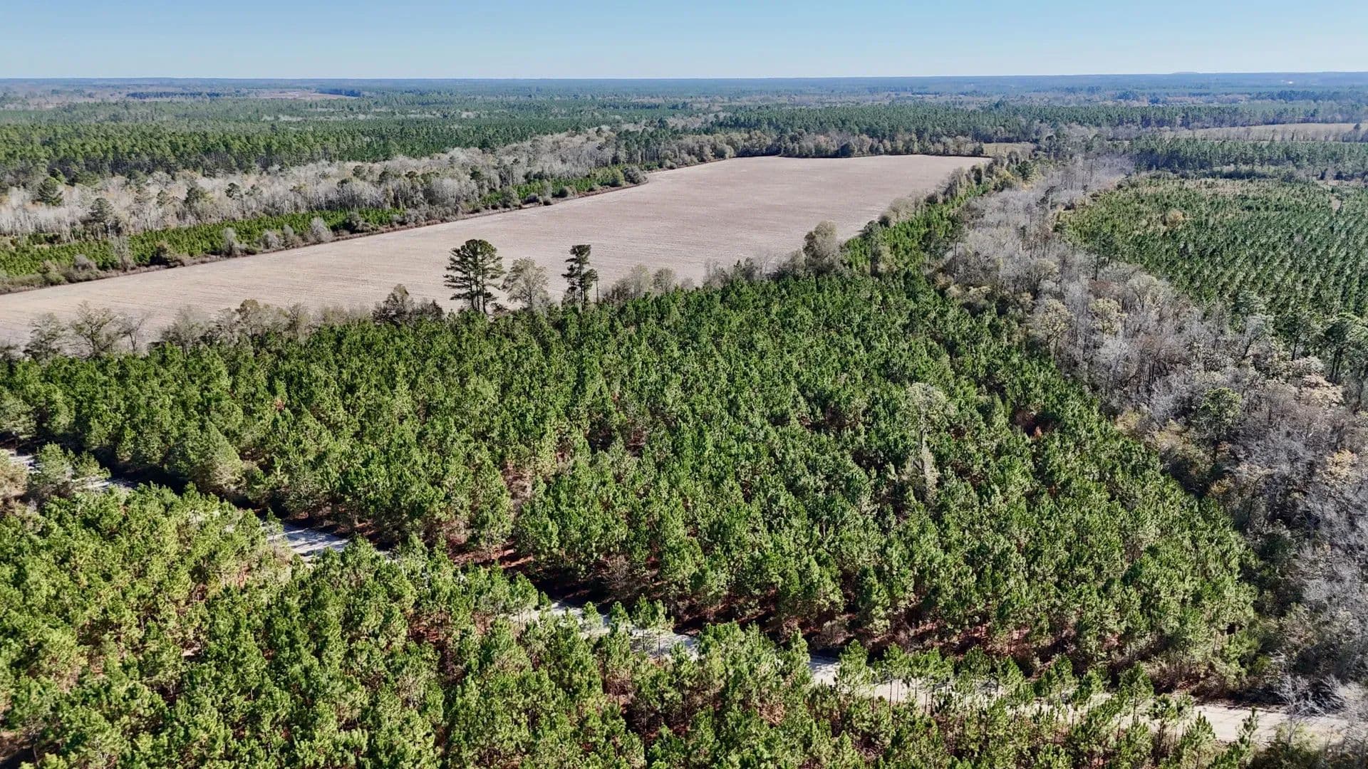 12 Acres of Land for Sale in Odum, GA - Odum, Georgia, 31555