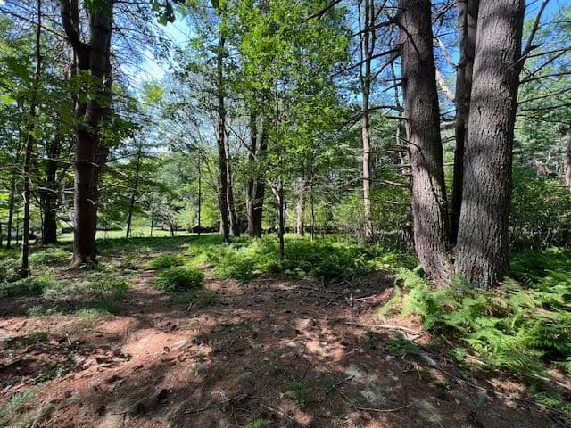 Vacant Land in Glen Spey - Glen Spey, New Jersey, 12737