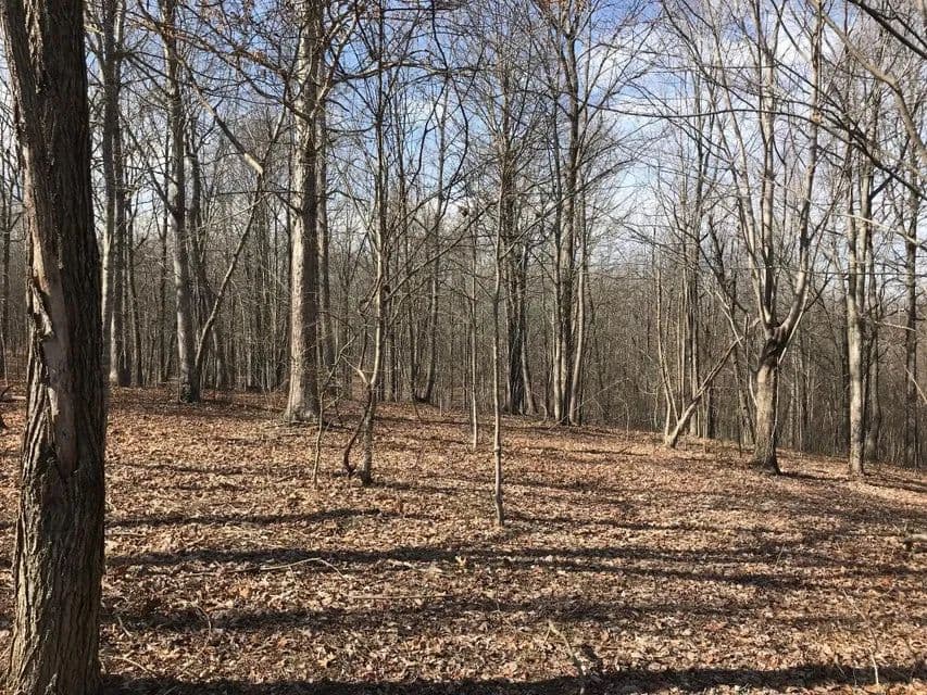 Land -Agricultural (Not Zoned) in Dunlap - Dunlap, Tennessee, 37327