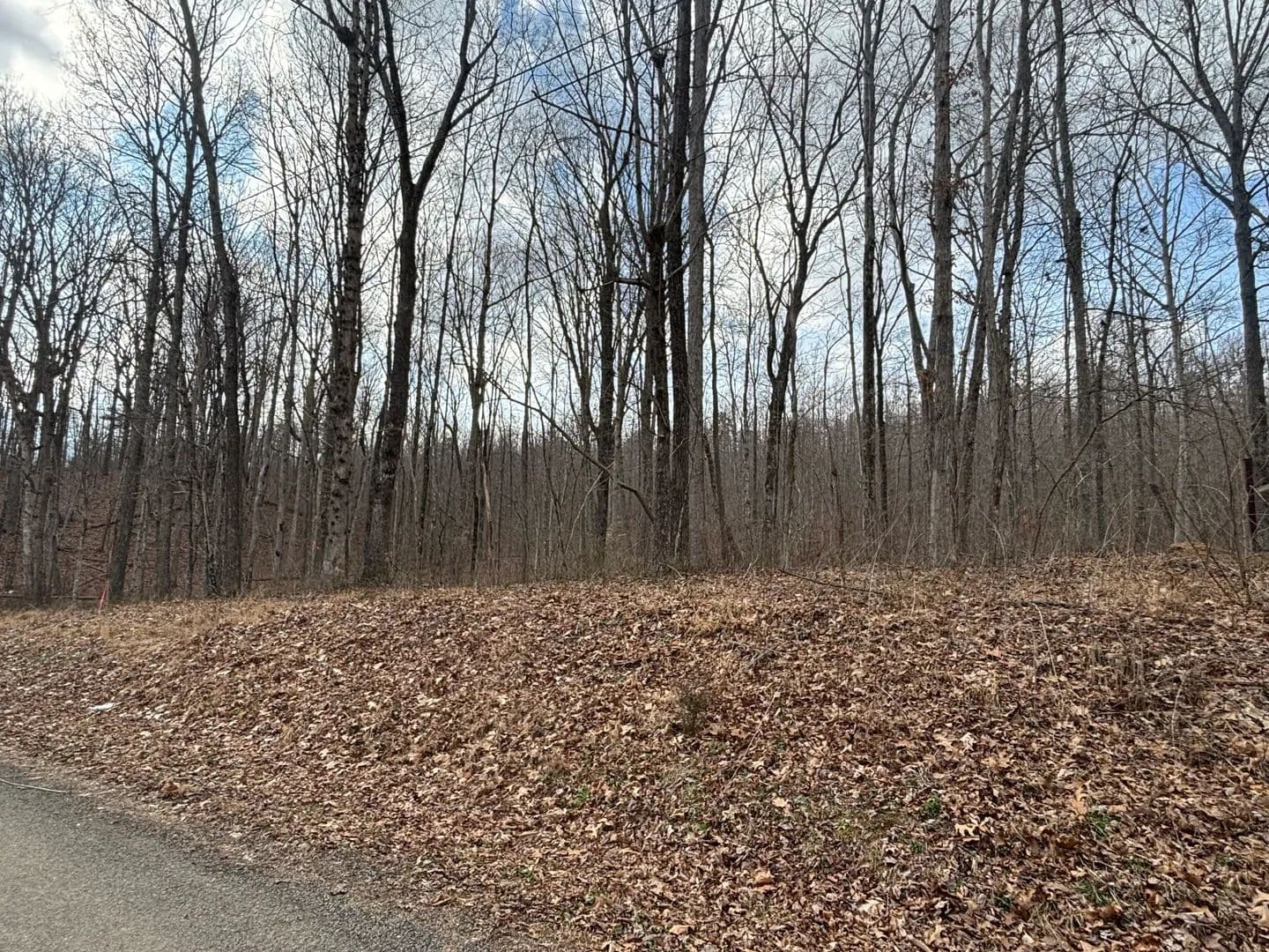 Land -Agricultural (Not Zoned) in Dunlap - Dunlap, Tennessee, 37327
