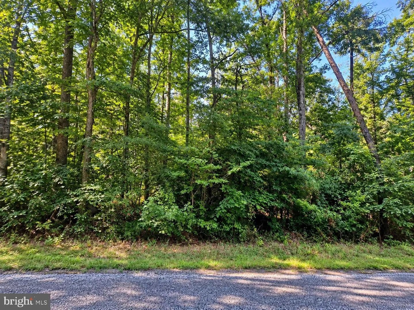 Vacant Land in Nanjemoy - Nanjemoy, Maryland, 20662