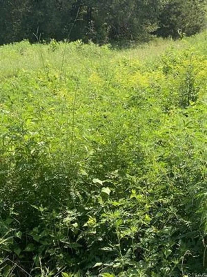 Lots & Land-Other in Greenbrier