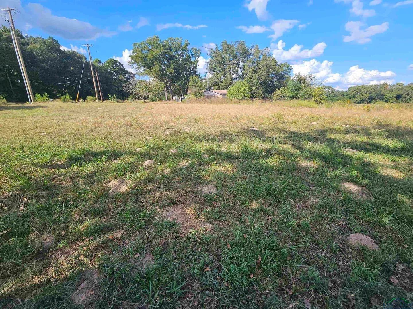 Vacant Land in Chandler - Chandler, Texas, 75758