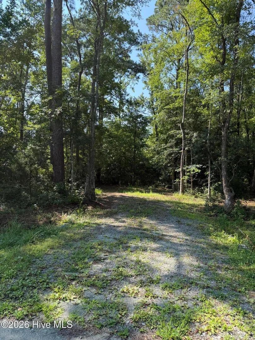 Vacant Land in Oriental - Oriental, North Carolina, 28571