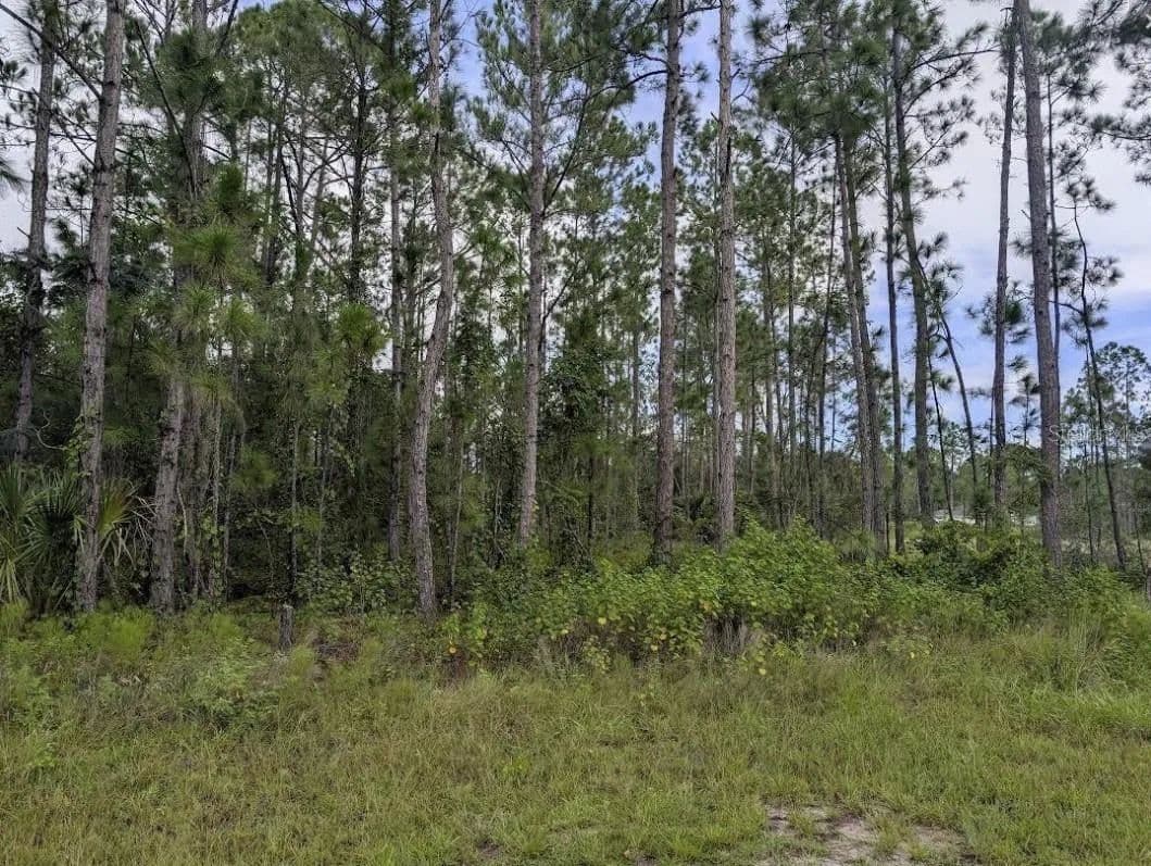 0.53 Acres of Land for Sale in INDIAN LAKE ESTATES, FL - Florida, 33855