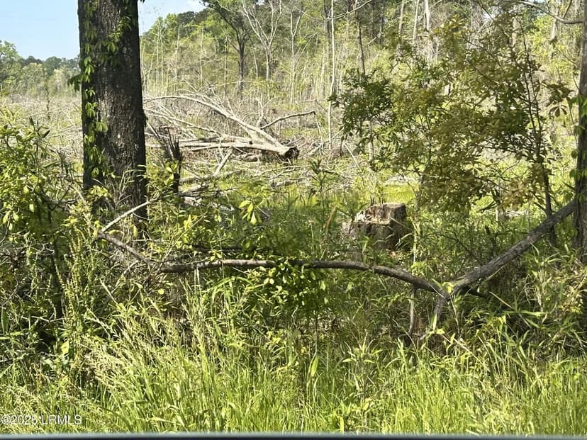 Property from 00 Lowcountry Drive - KW