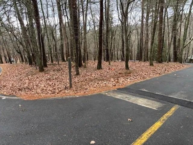 Land -Single Family Acreage in Big Canoe