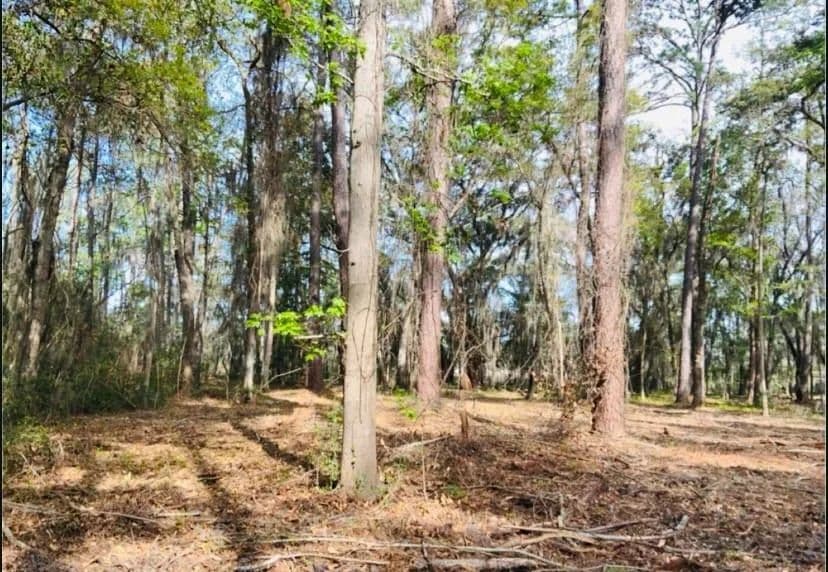 Vacant Land in Darien
