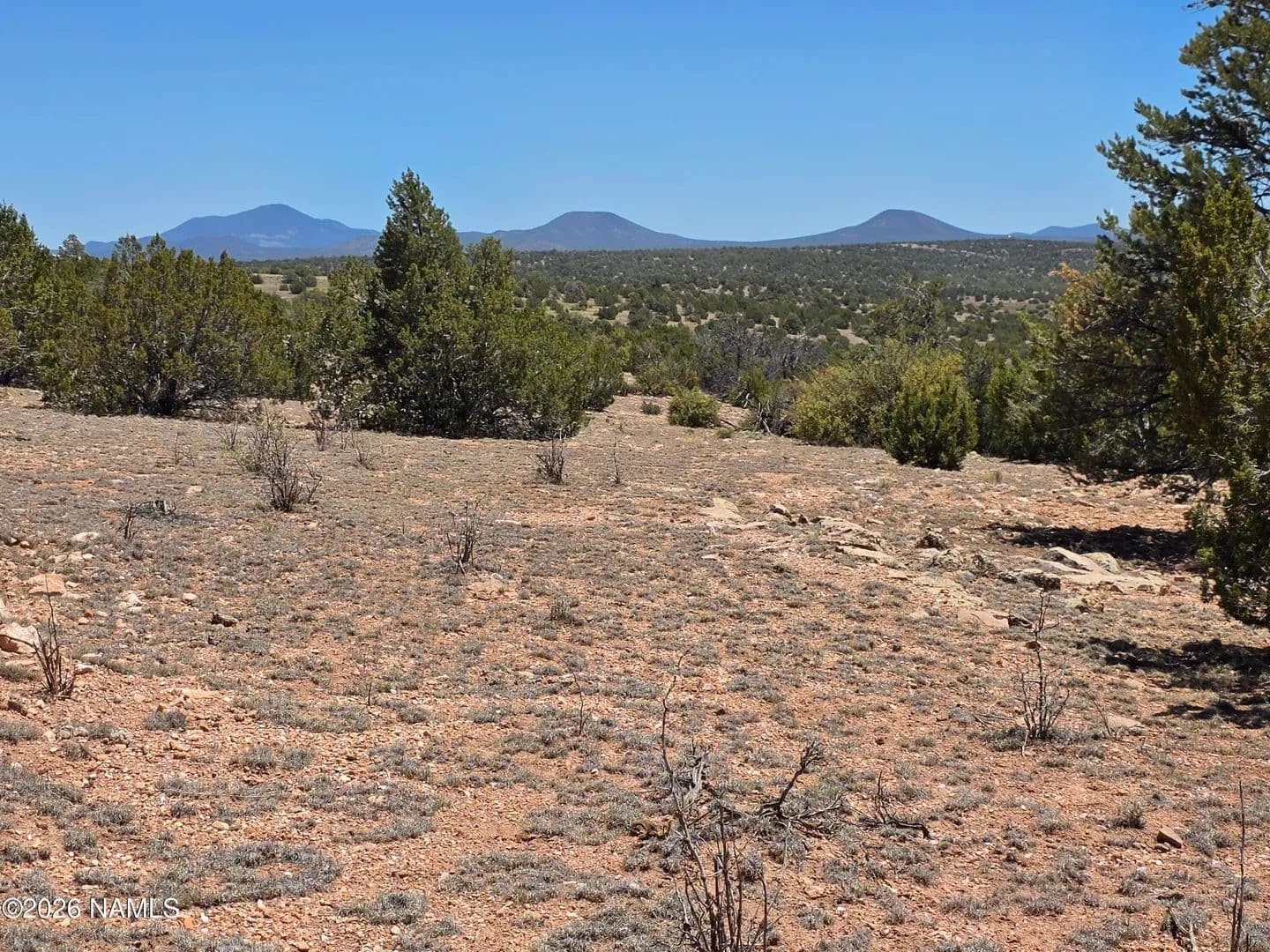 40 Acres of Land for Sale in Williams, AZ - Williams, Arizona, 86046