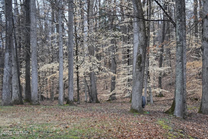 Vacant Land in Jackson