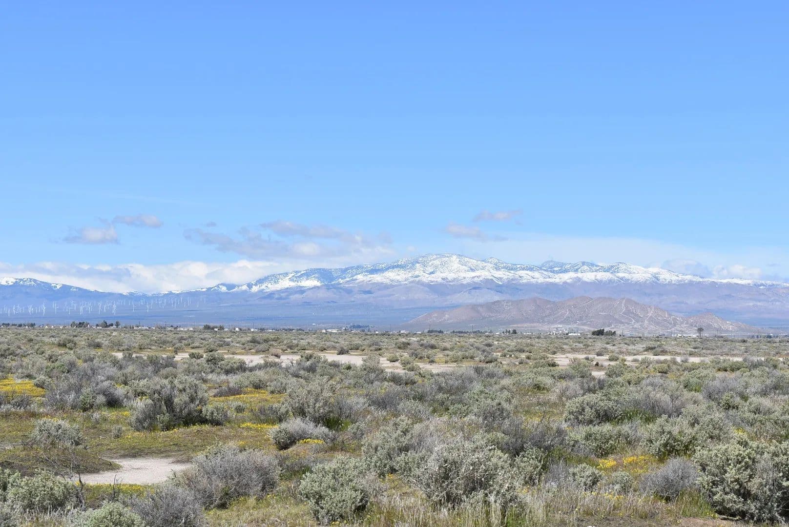 Lots & Land-Other in Antelope Acres - Antelope Acres, California, 93536