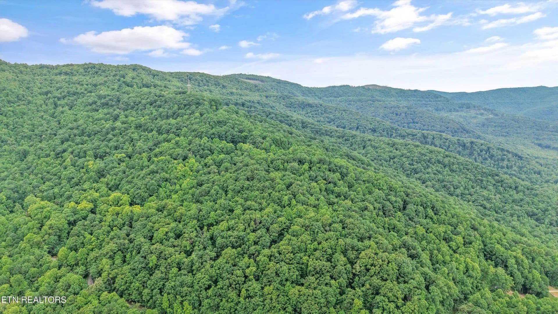 221 Acres of Land for Sale in Caryville, Tennessee - Caryville, Tennessee, 37714