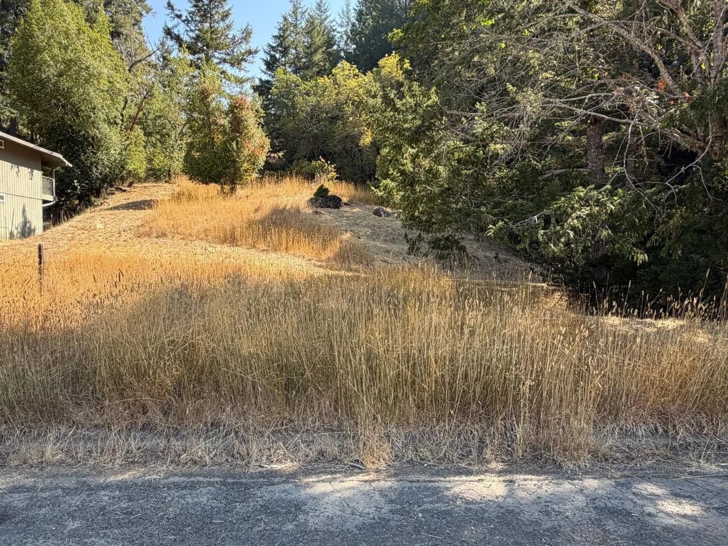 Vacant Land in Willits - Willits, California, 95490