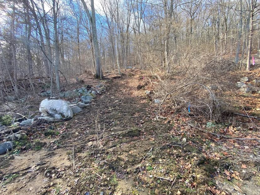 Vacant Land in Danbury