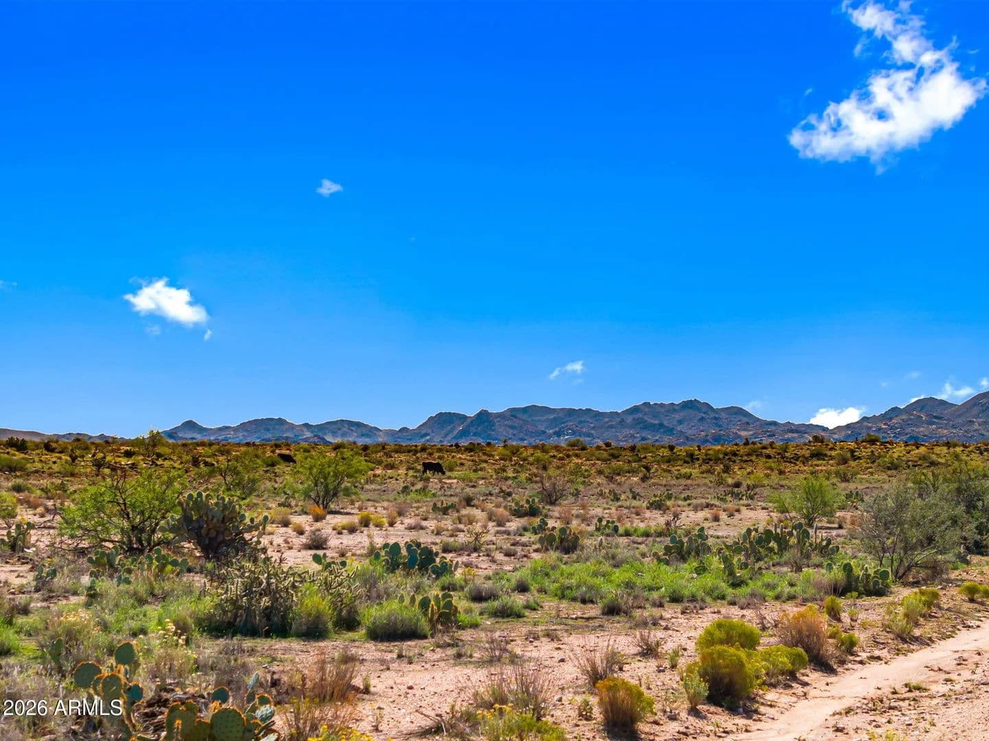 Lots & Land-Other in Congress - Congress, Arizona, 85332
