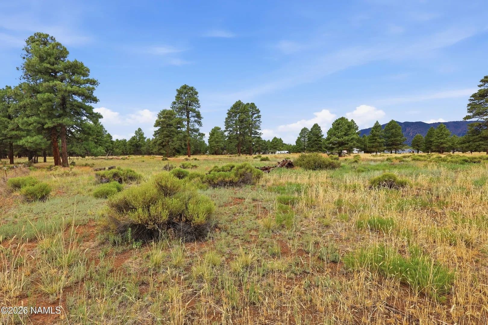 Lots & Land-Other in Flagstaff - Flagstaff, Arizona, 86004