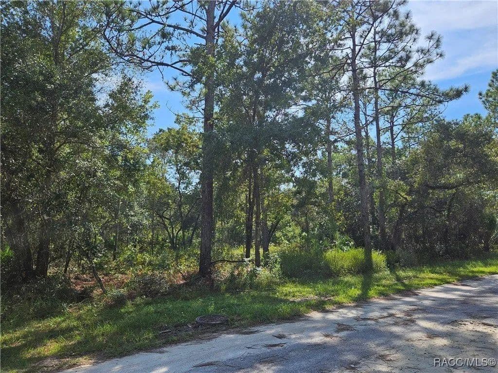 Lots & Land-Other in Crystal River - Crystal River, Florida, 34429