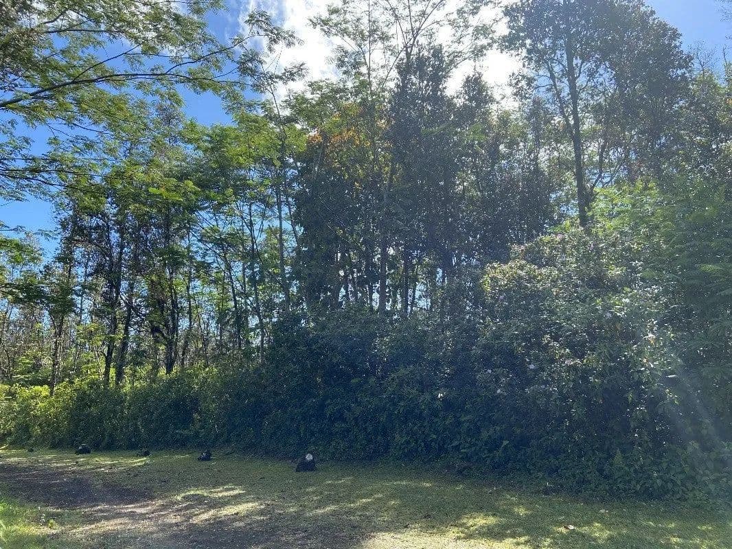 Lots & Land-Other in Pahoa - Pahoa, Hawaii, 96778