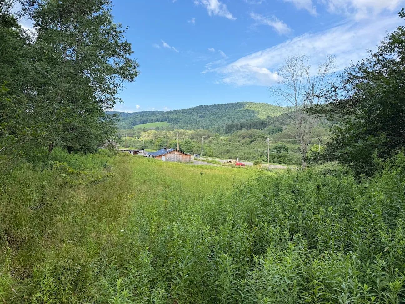 41.6 acres Hunting Land and Recreational Land in Bolivar NY Route 275 - Bolivar, New York, 14715