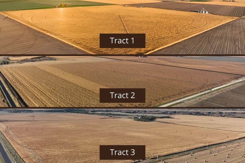 Online Auction | 471 Acres in 3 Tracts | Dawson & Custer County, NE