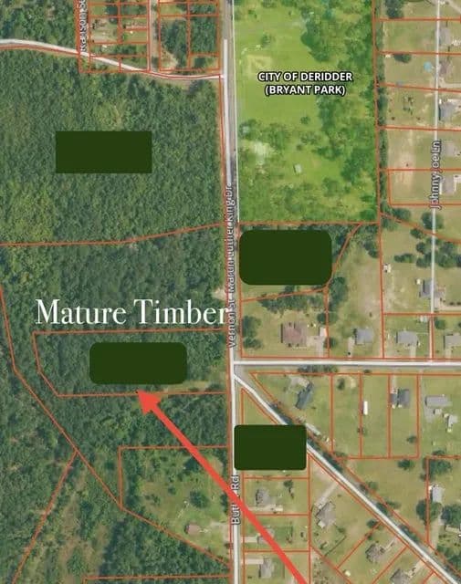 Lots & Land-Other in Deridder - Deridder, Louisiana, 70634