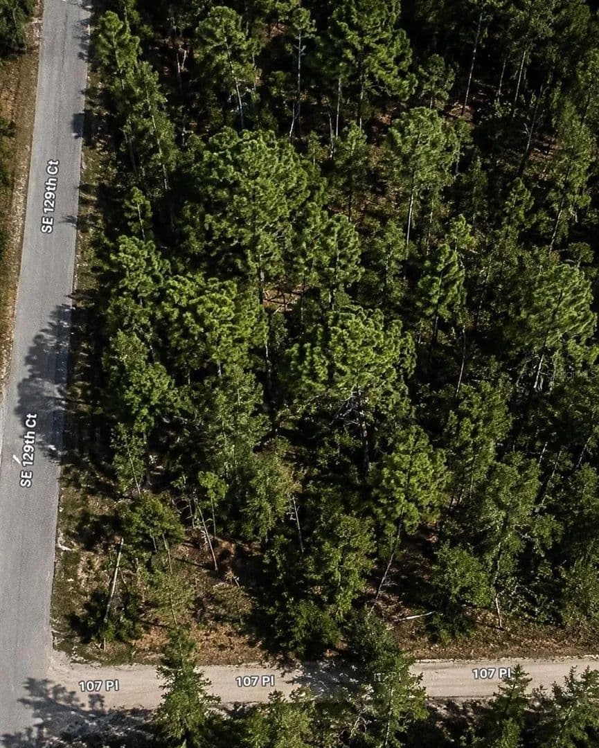 Lots & Land-Other in DUNNELLON - Dunnellon, Florida, 34431