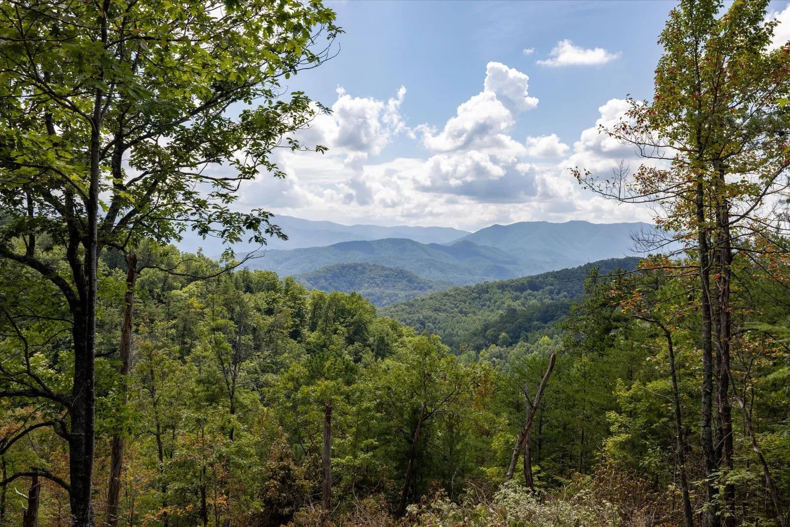 Vacant Land (10+ Acres) in Townsend - Townsend, Tennessee, 37882